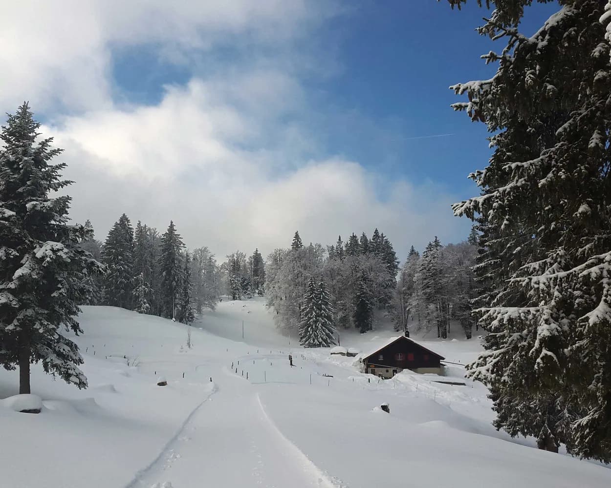 Parcours Col des Etroits–Mont-des-Cerfs