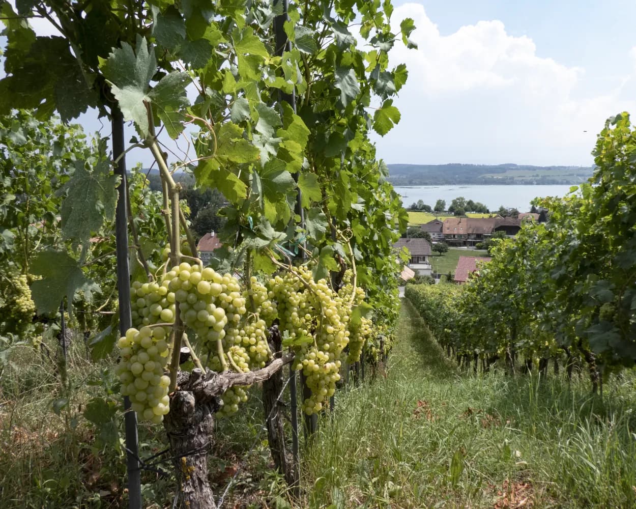 Trans Swiss Trail, Stage 7/32