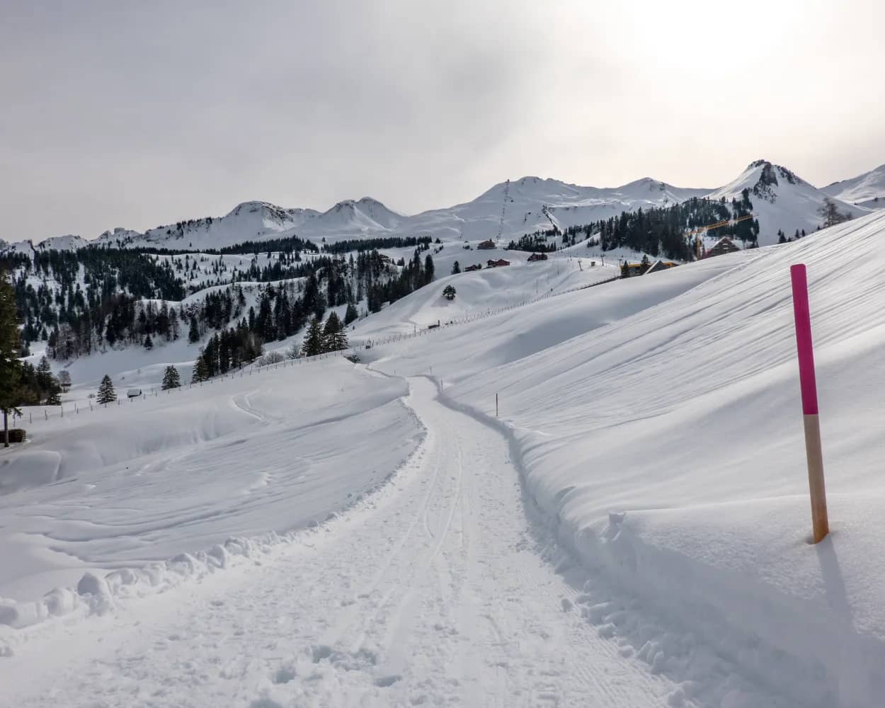 Nühusweidli-Winterwanderweg