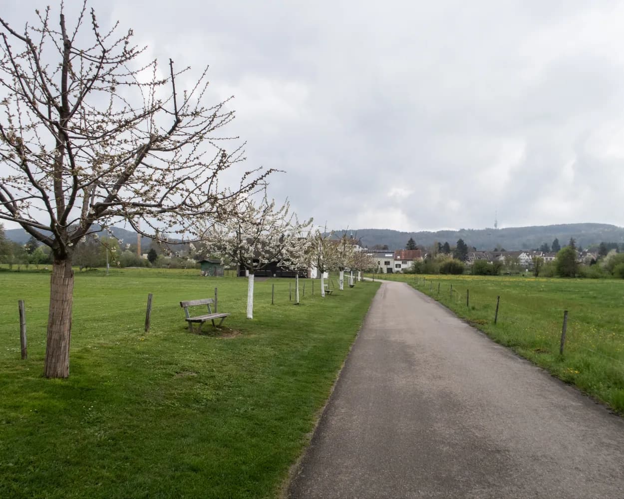 Wiesenweg