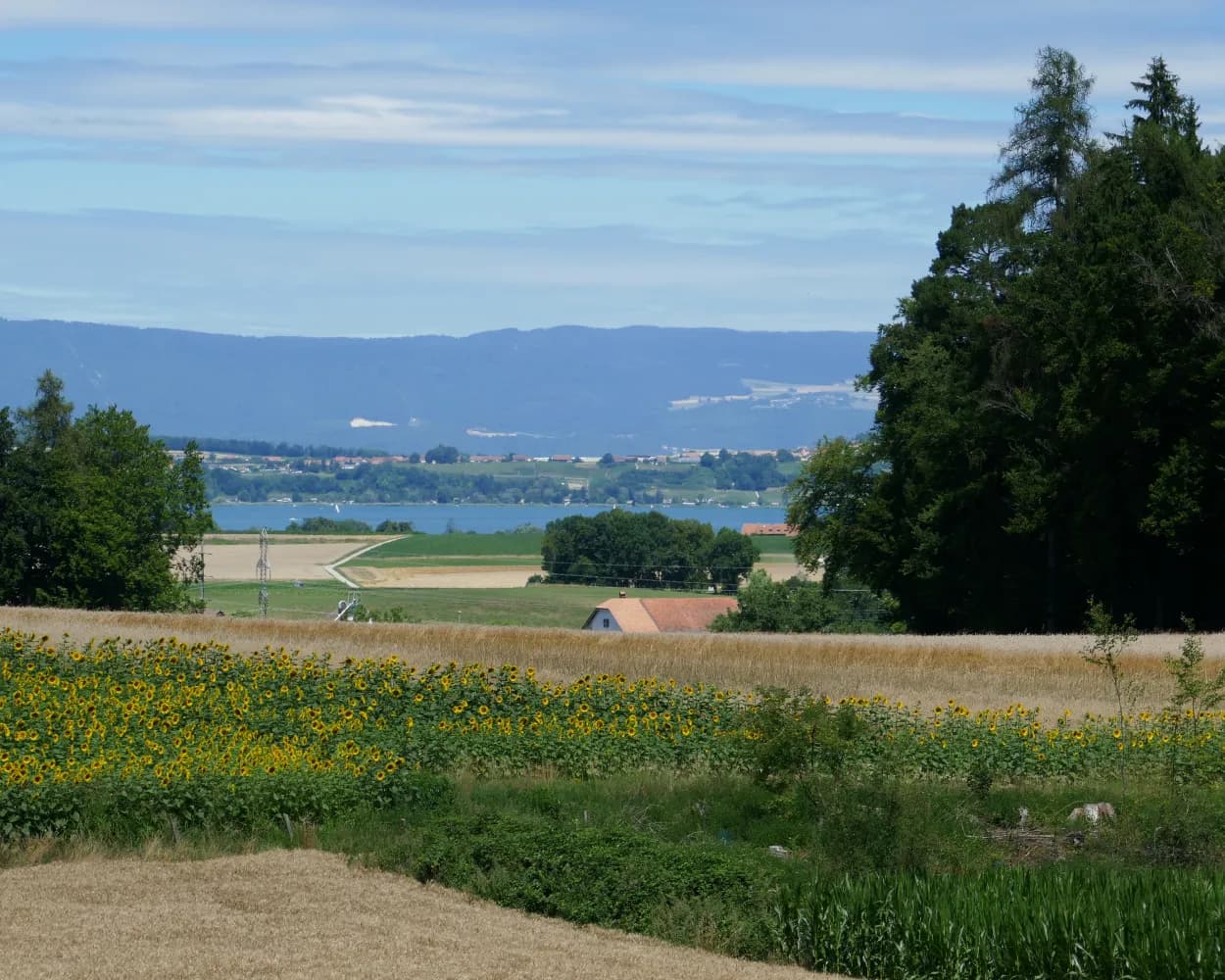 Fribourg en diagonale, Stage 3/3
