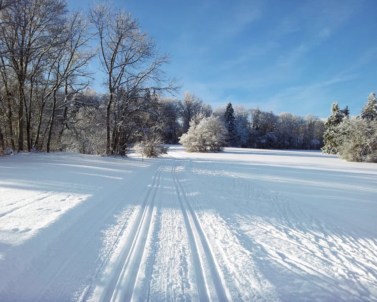 Cross-country skiing resorts from Schaffhausen by public transport