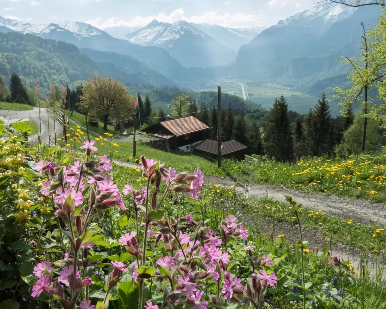 ViaJacobi, Etappe 9/33