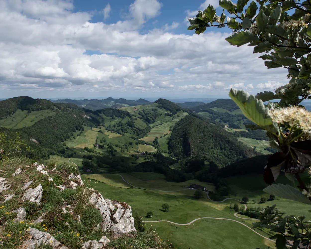 ViaSurprise, Stage 3/6