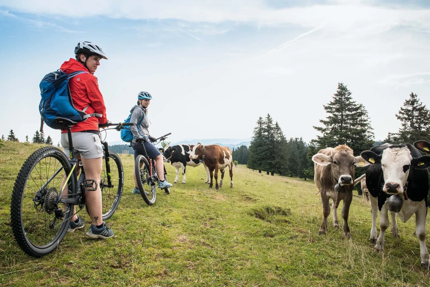 Chasseral–Weissenstein Bike