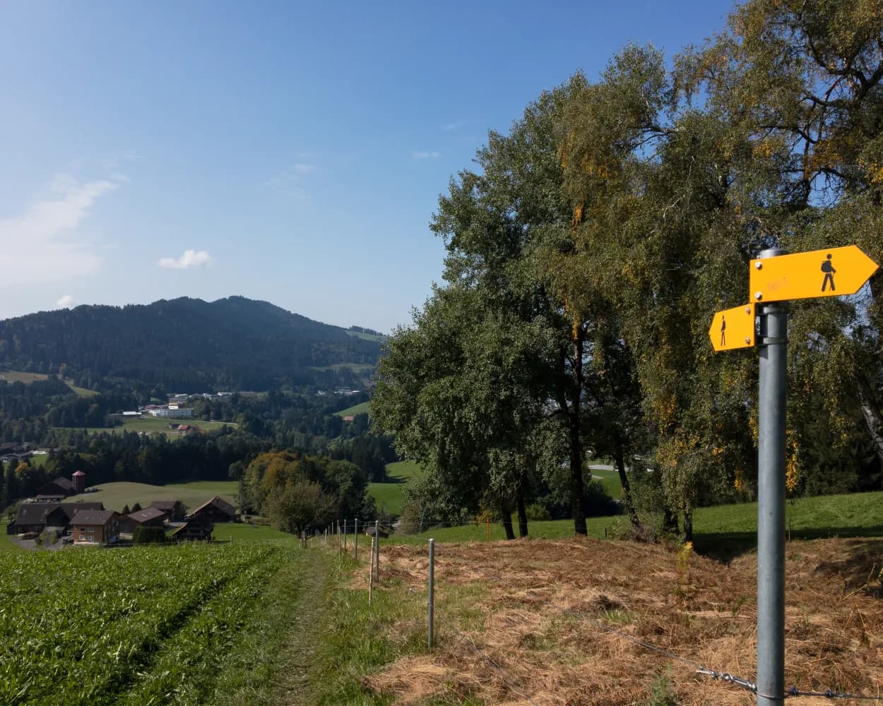 Zürichsee-Rundweg, Stage 4/10