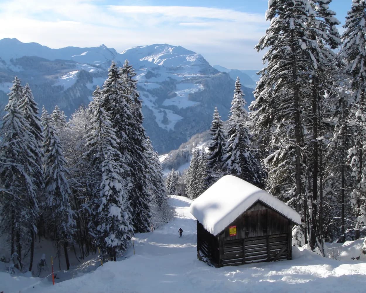 Ober-Altberg-Schneeschuhtrail