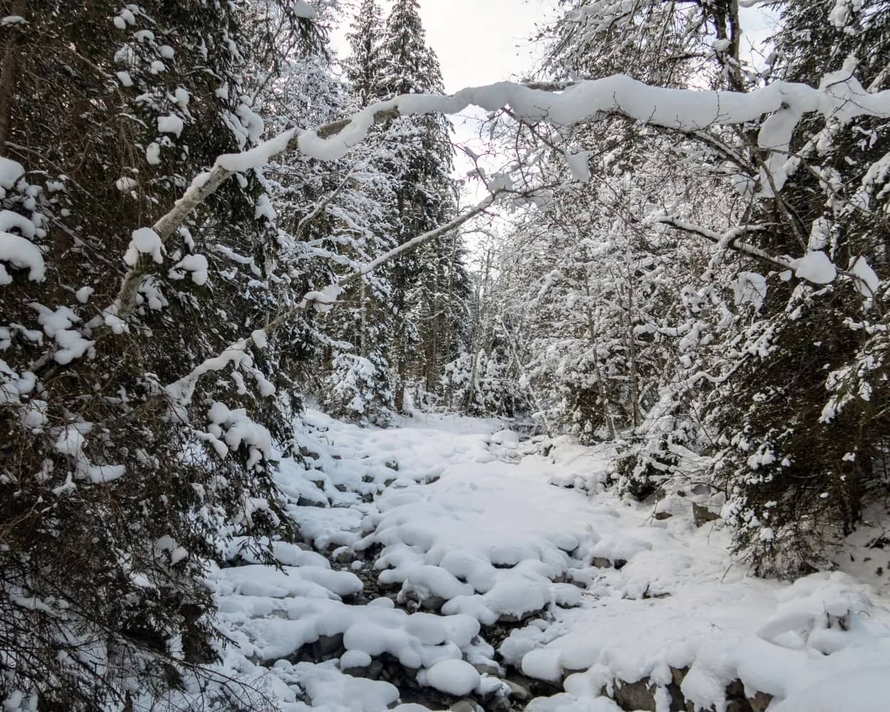 Rossberg-Schneeschuhtrail