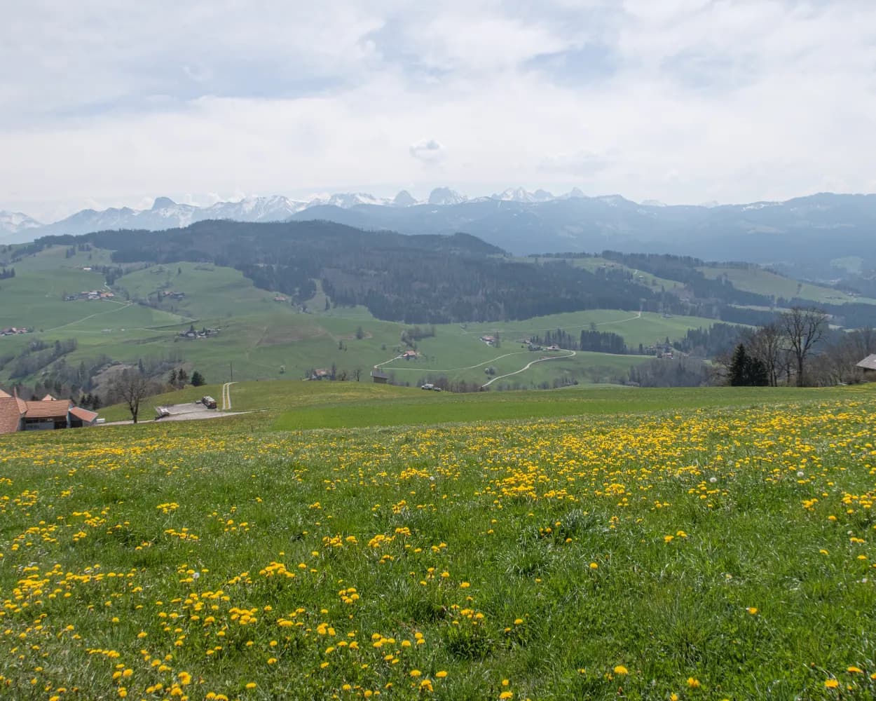 Alpine Panorama Trail, Stage 18/29
