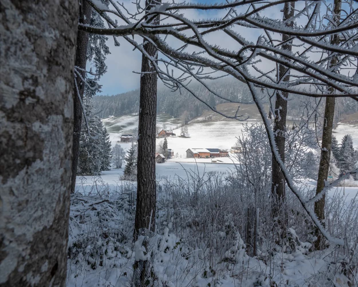 Randonnées hivernales depuis Saint-Gall en transports publics