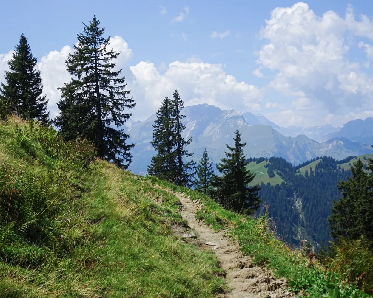 Furner Rundweg